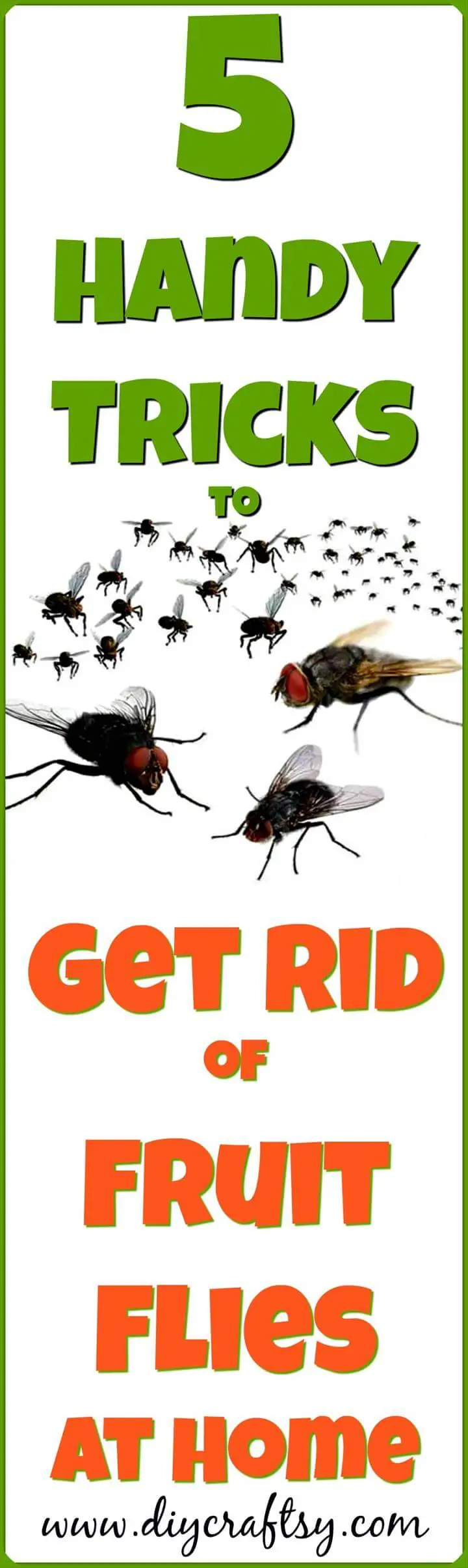 5-Handy-Tricks-to-Get-Rid-of-Fruit-Flies-at-Home