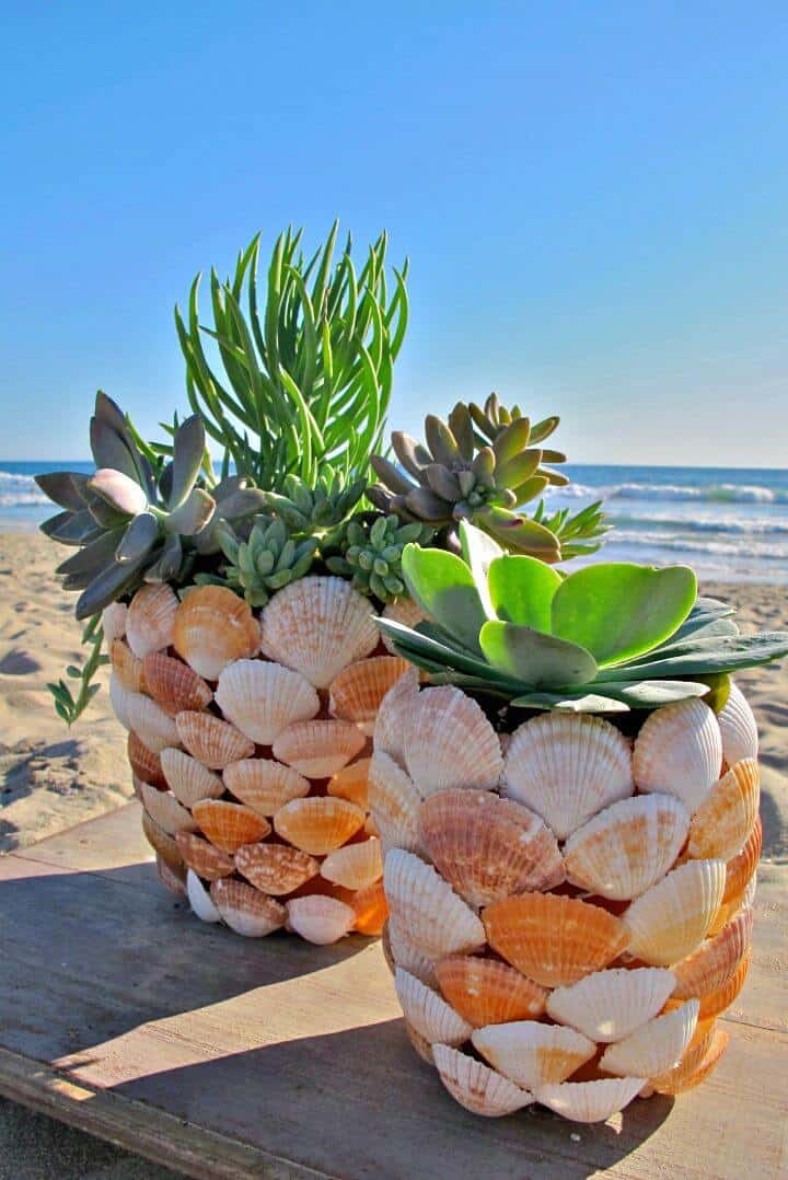 Jardinera de conchas de decoración costera de bricolaje 