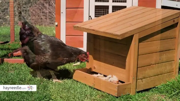 Construya su propio comedero para pollos