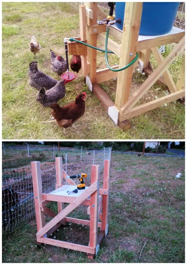 Construye un bebedero automático para pollos
