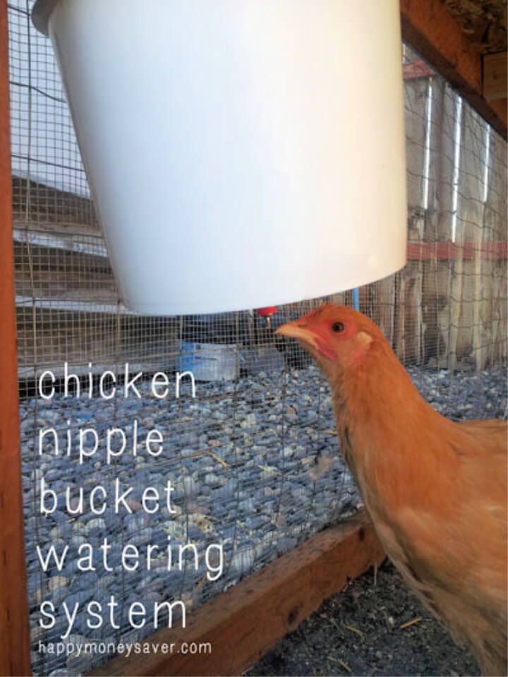 Bebedero para pezones de pollo usando un balde de plástico