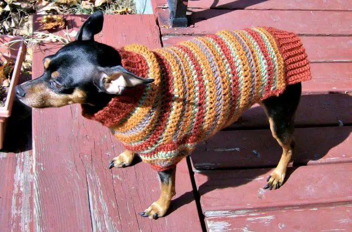 Patrón de suéter de pin de ganchillo a rayas de otoño gratis