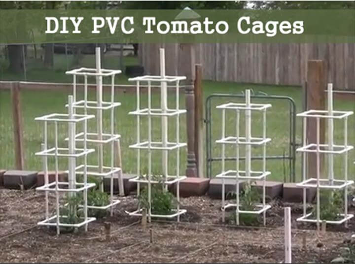 jaulas de tomate de tubería de PVC recuperadas