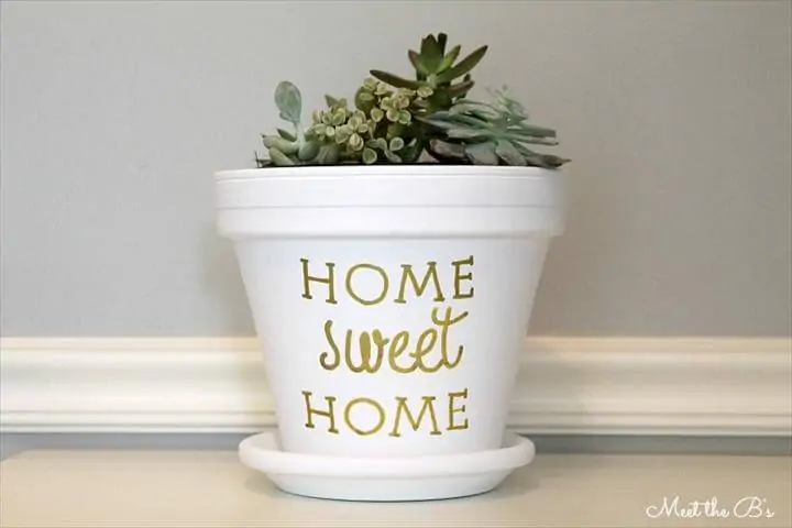 Jardinera suculenta DIY Home Sweet Home