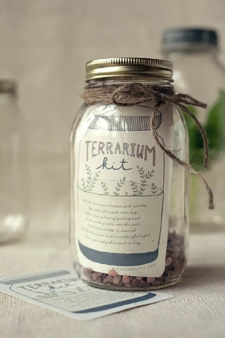 Kit de terrario DIY Mason Jar regalo