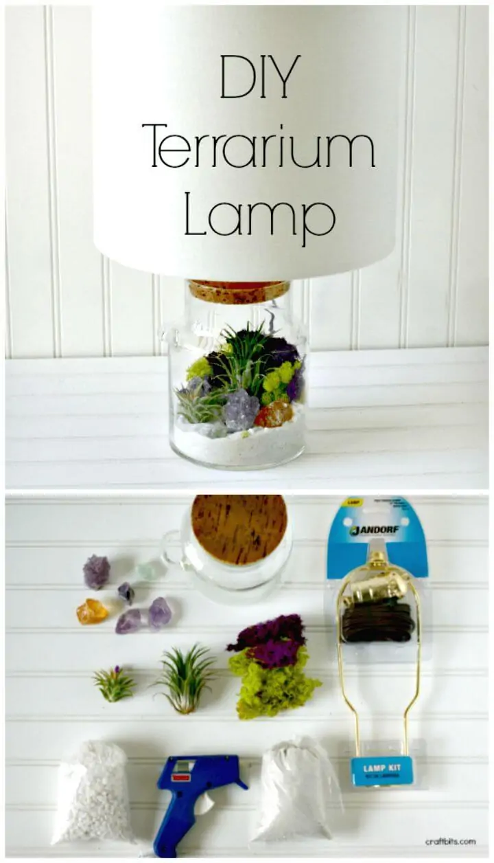 Tutorial de cómo hacer una lámpara de terrario de bricolaje