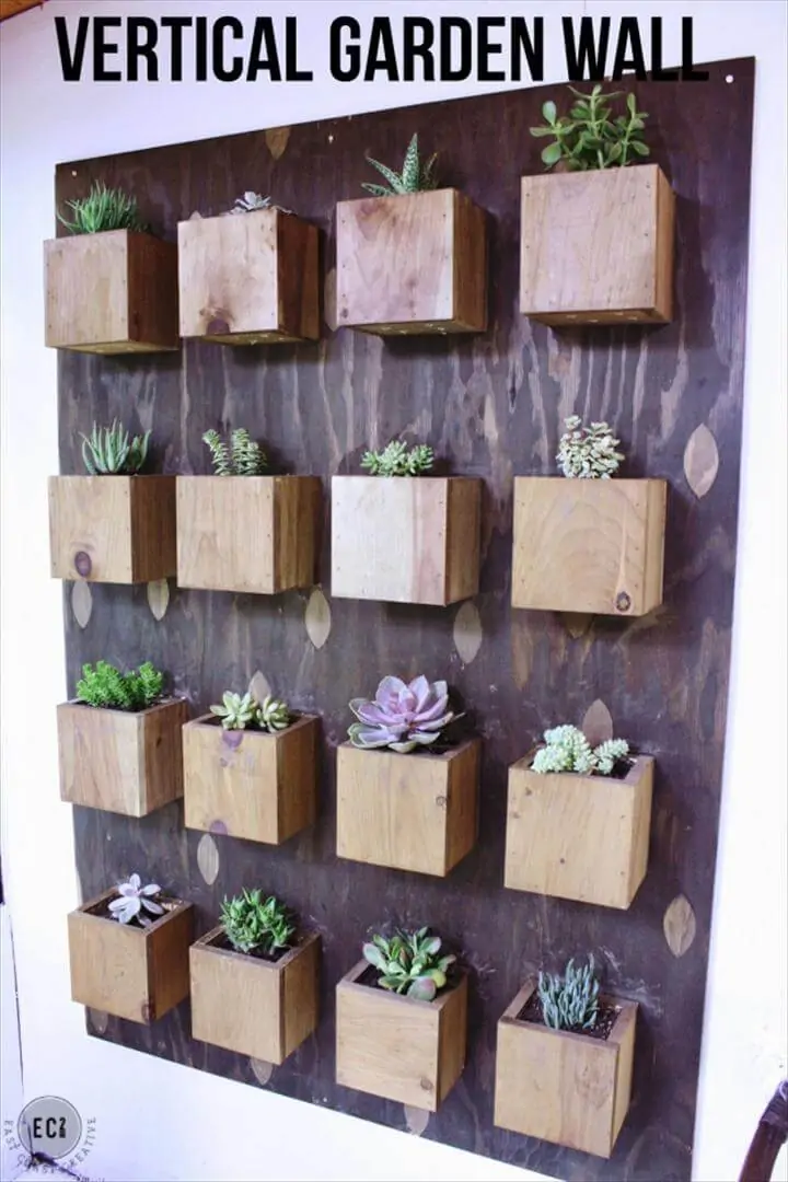 Exhibición de pared de jardinera suculenta vertical de bricolaje