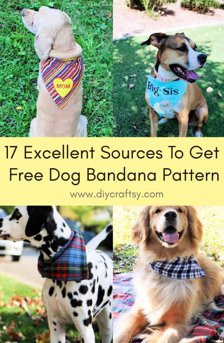 17 excelentes fuentes para obtener un patrón de bandana para perros gratis