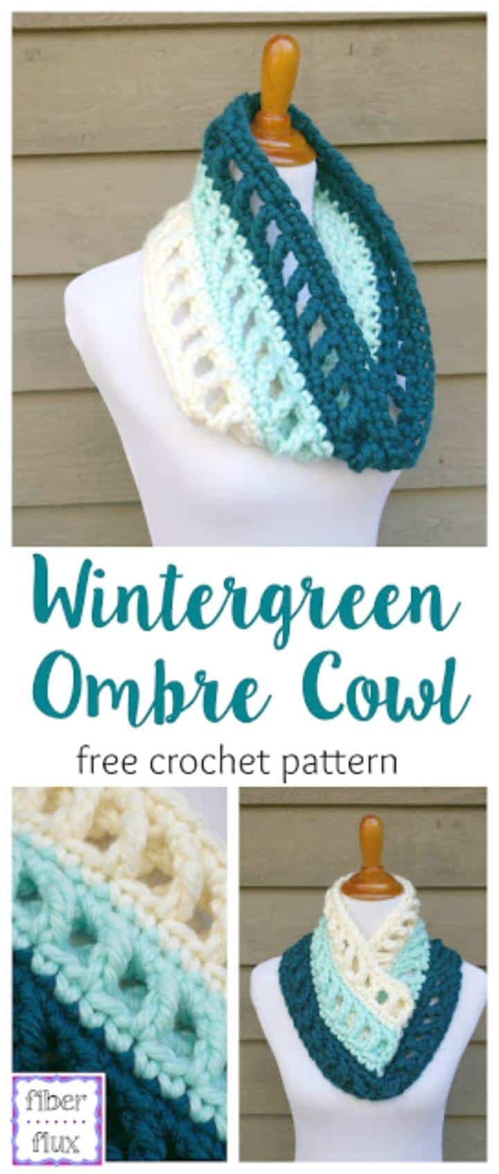 Capucha Crochet Wintergreen Ombre - Patrón libre