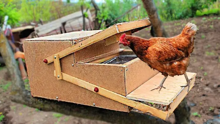 Alimentador de pollo automático casero