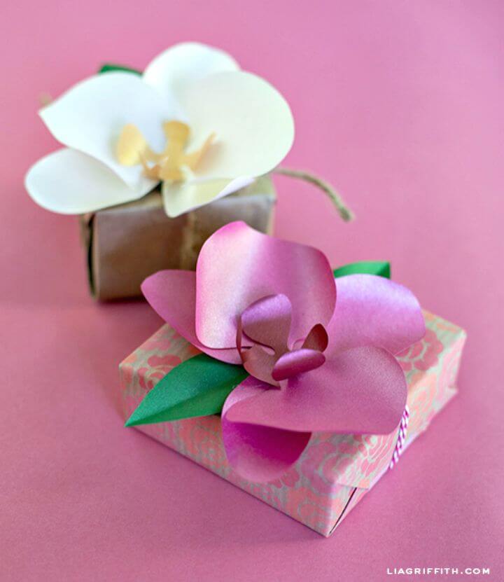Cómo hacer orquídeas de papel: - Bricolaje 