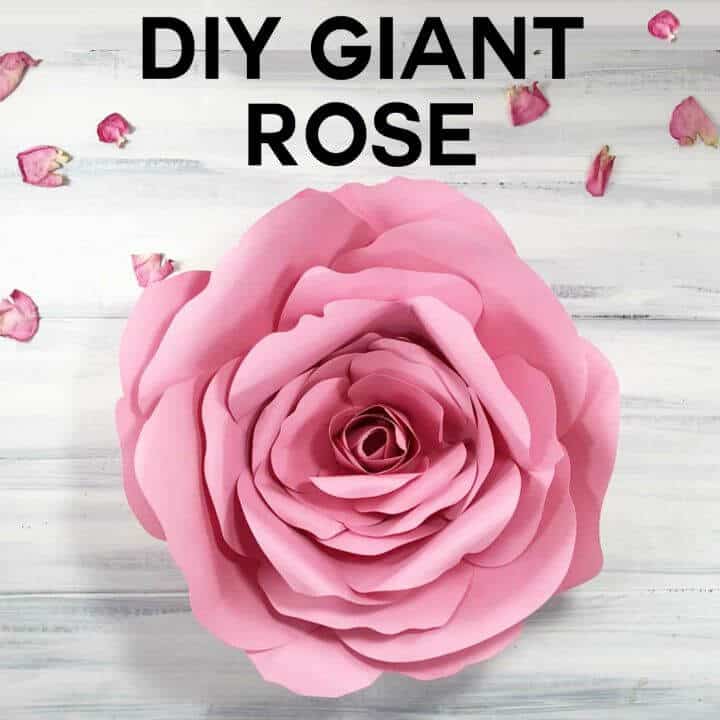 Cómo hacer una rosa gigante - Manualidades de bricolaje 