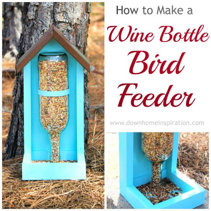 Hacer comedero para pájaros con botella de vino