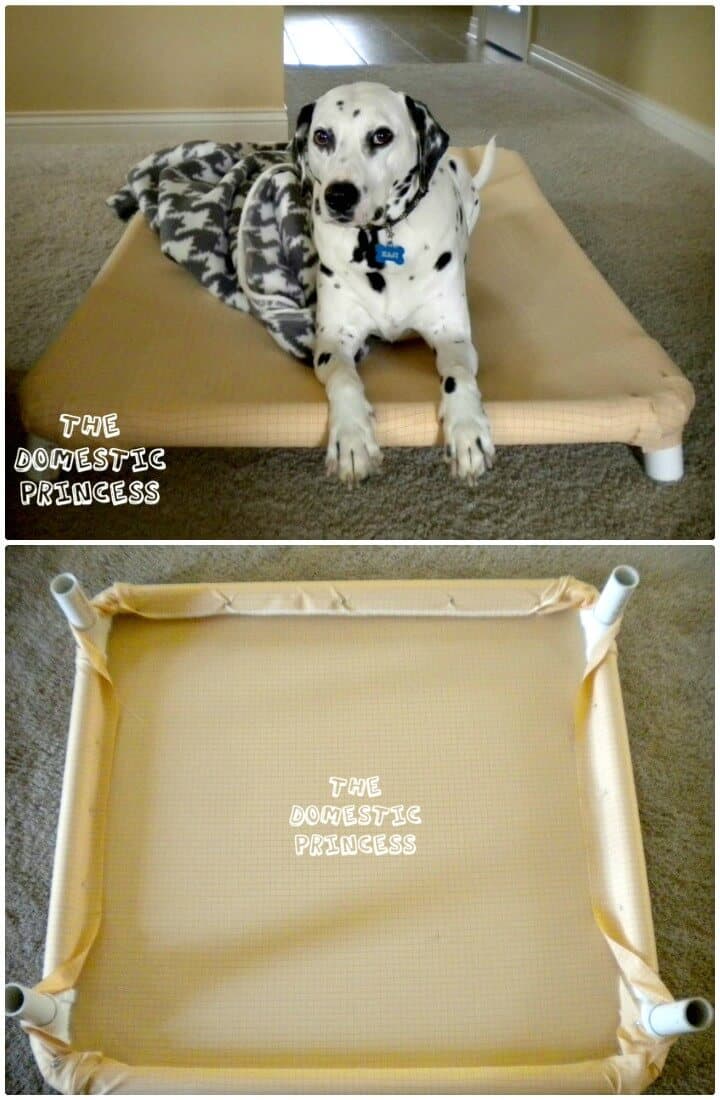 Tutorial de cómo hacer tu propia cama para perros