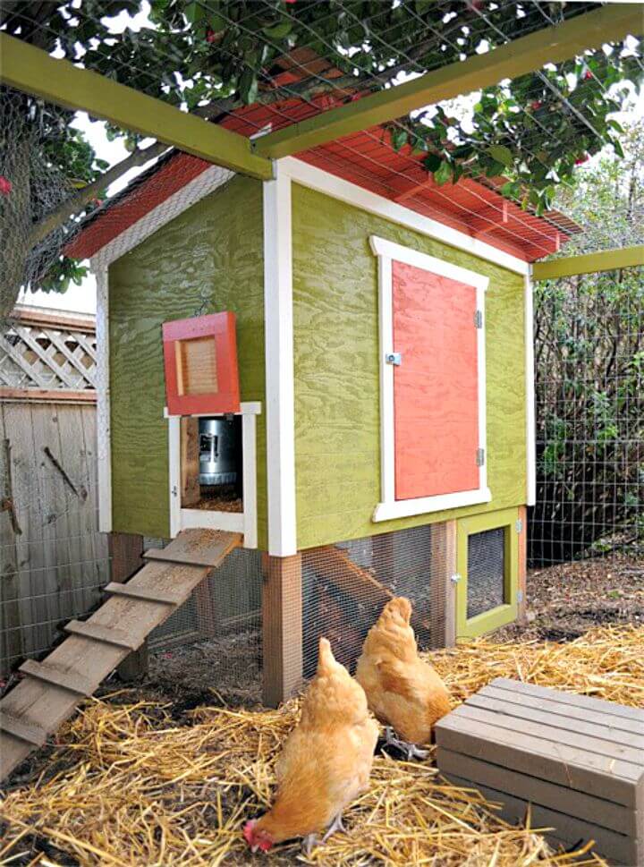 DIY Urban Chicken Coop - Tutorial gratuito