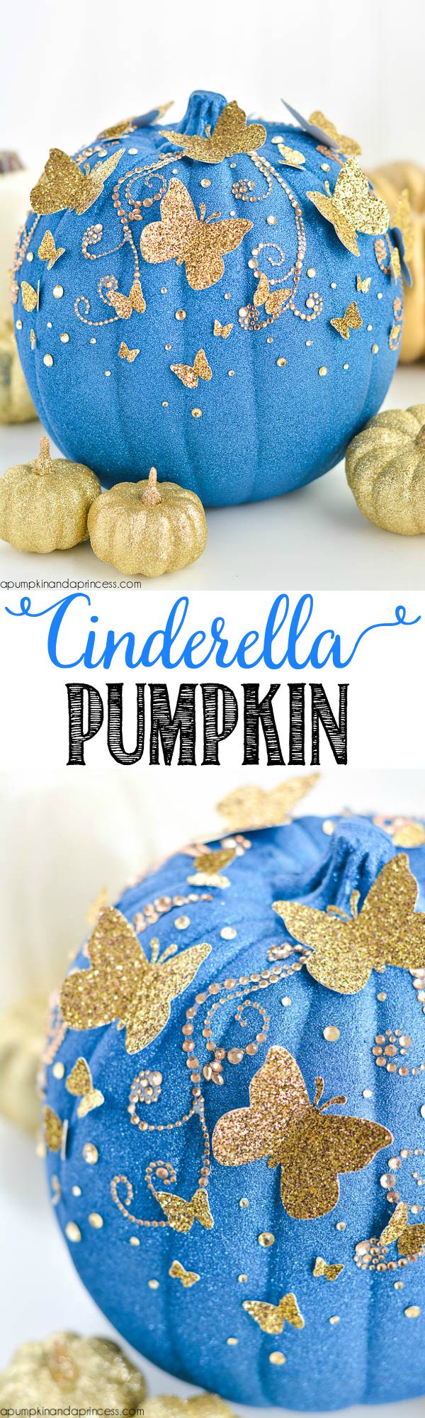 DIY-Cinderella-Butterfly-Pumpkin