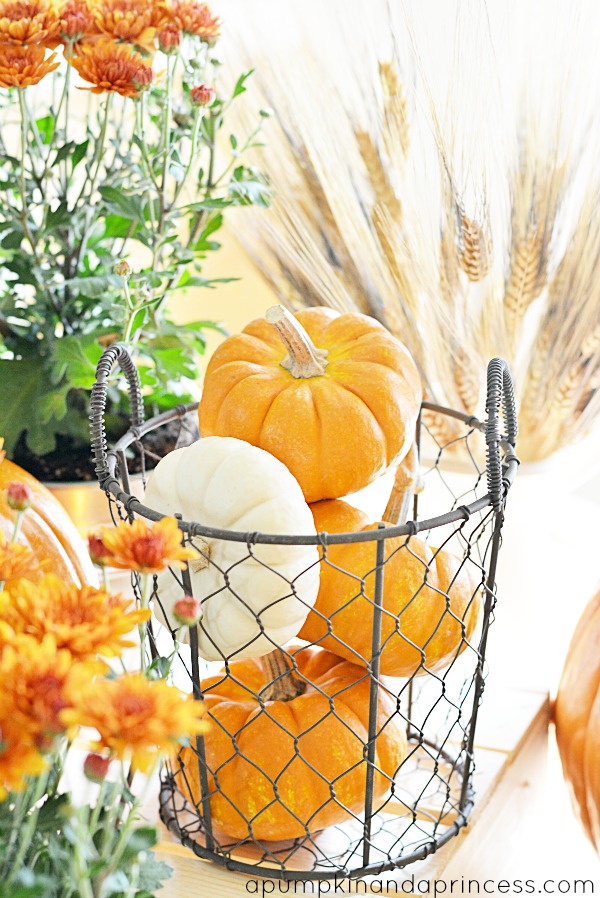 Pumpkin-Fall-Tablescape-decorating-with-pumpkins