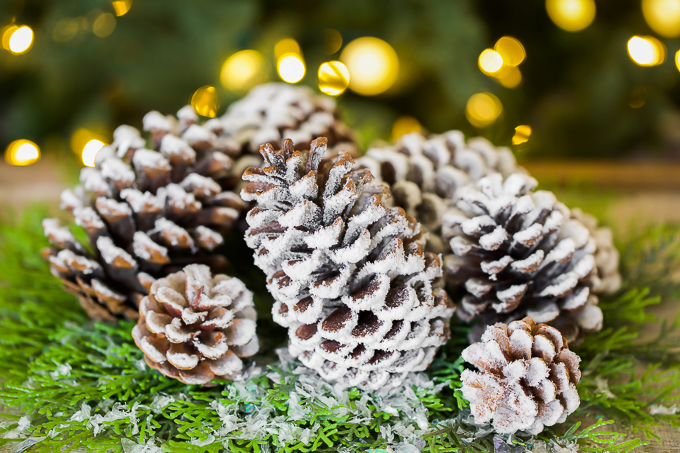 snowy-pine-cone-how-to